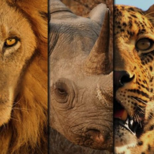 Screenshot 2025-12-11 at 4.27.35 PM